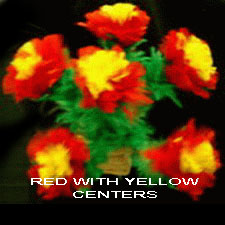 6 RED WITH YELLOW CENTER FLOWERS