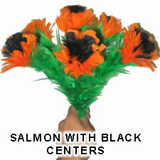 6 SALMON WITH BLACK CENTER FLOWERS