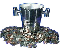 COIN PAIL