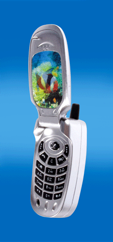 SHOCK CELL PHONE