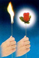 Bühne Close Up Zaubertrick Torch Rose zu Feuer Tricks Flame Appearing Flower 