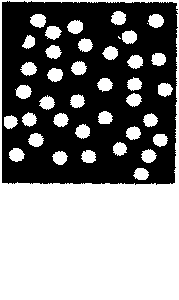 POLKA DOT SILK - LARGE 30" STAGE SIZE